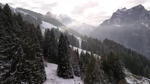 Snowy Forest Landscape in the Mountains Aerial Footage