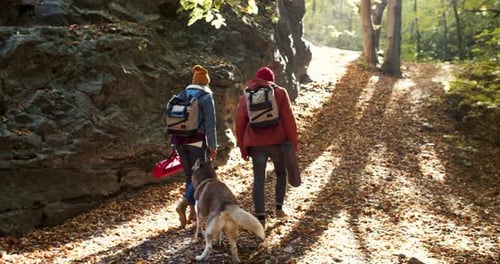 People Hike With Dog on Autumn Forest Trail