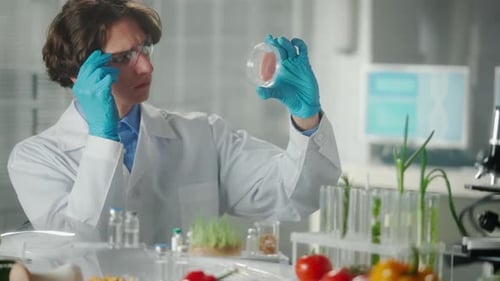 Scientist Inspects Sample in Petri Dish in Lab