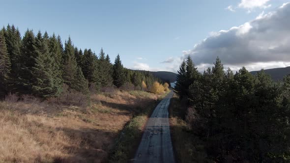 Bumpy road in countryside with scenic autumn landscape. Dolly forward ...