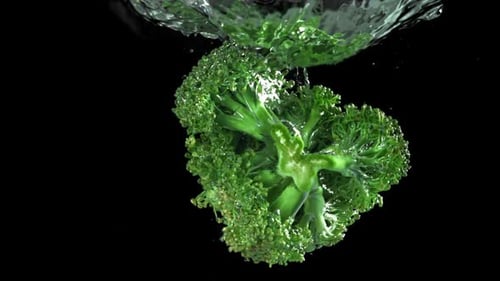 Fresh Green Broccoli Florets Plunging into Water Tank