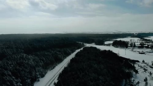 Wunderschöne winterliche Pinienwaldlandschaft