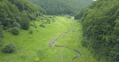 Borov Kamak, Vratsa, Bulgarie, ruisseau dans la forêt
