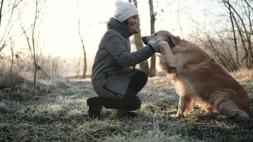 Woman and Golden Retriever Play on Frosty Morning