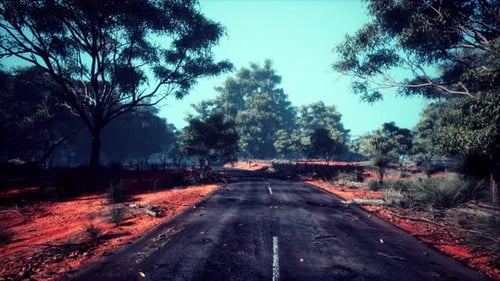 Clean Rural Road with Trees