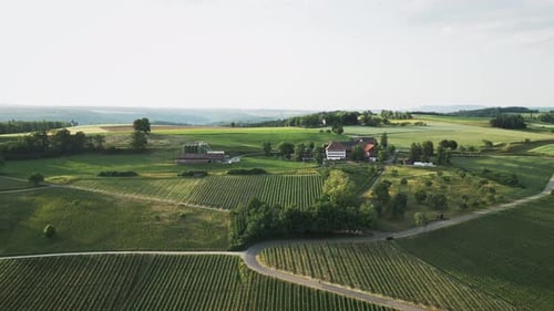 Weingut mit Weinbergen bei Sonnenuntergang