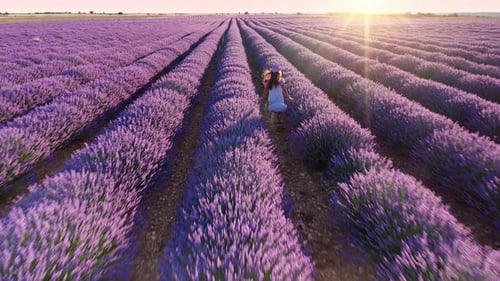 Teen girl walks by blooming lavender fields with blue lavender flowers.