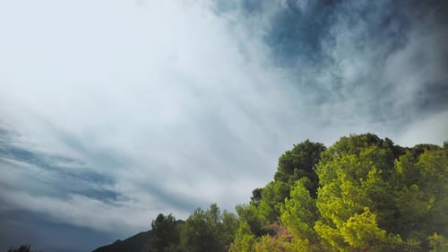 Cloud timelapse at the forest