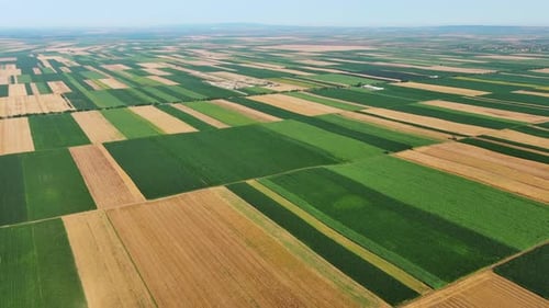 Aerial View of Agriculture Fields