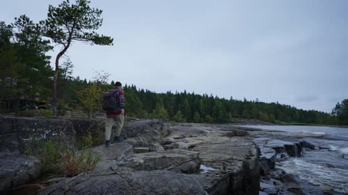 Hiking In Norway Tourist With Backpack Walking Alone On Coast Of Beautiful Lake Near Pine Forest