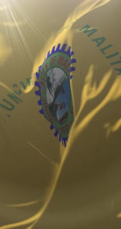 Realistic Waving Flag Reveal with Customizable Logo Animation