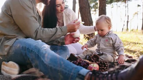Feeding boy with child food. Family of father, mother and little son is outdoors in the forest