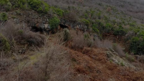 Cave entrance behind dried branches of trees on a rocky mountain covered by lush vegetation, aerial