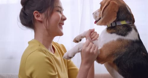Woman Playing with Dog Indoors on Couch