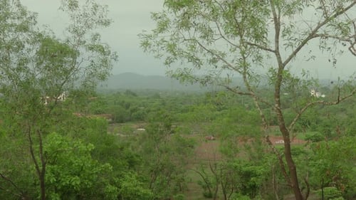 Wide shot of a lush rural landscape with scattered trees, fields, and distant hills under a cloudy s