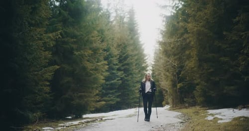 Portrait of Hiker In Mountains Walking in Forest