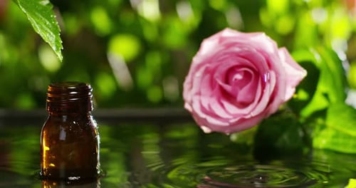 mezcla de aceites esenciales con gotas de agua, aromas y aromas en aromaterapia para el bienestar y el spa.
r