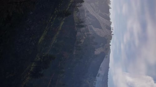 Vertical Video of Misty Foggy Mountain Landscape with Fir Forest