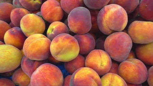 Pile Of Delicious Peaches For Sale In The Market During Harvest Season