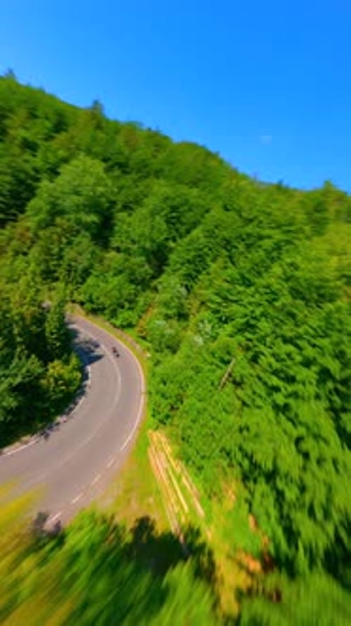 Motorcycle Riding Through the Lush Green Forest in the Mountains