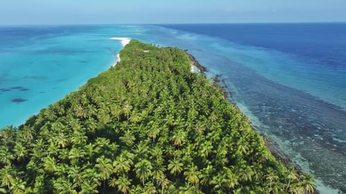 Aerial view of lush island with white sand, Maldives.