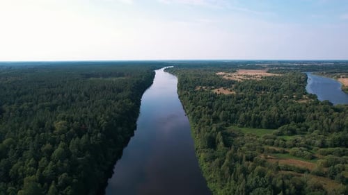 Shooting From a Quadrocopter of a Beautiful Summer Landscape with River Bend Surrounded By Forest