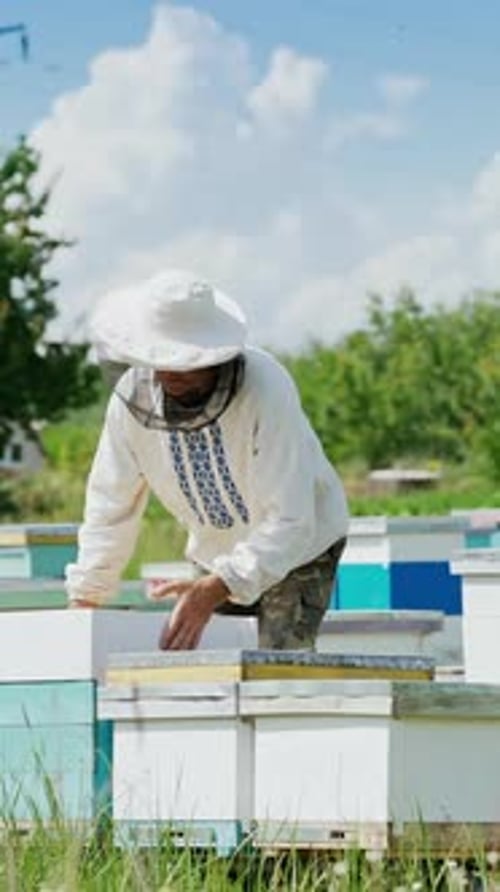 Beekeeper Inspecting Beehives on Sunny Day