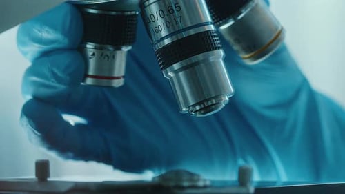 Gloved Hand Adjusting Microscope Lens in Laboratory