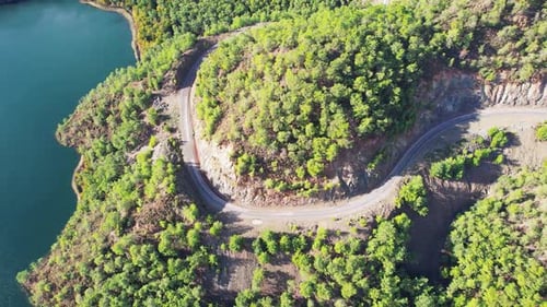 Top Down Aerial Shot of Green Forest Landscape in Mugla Turkey