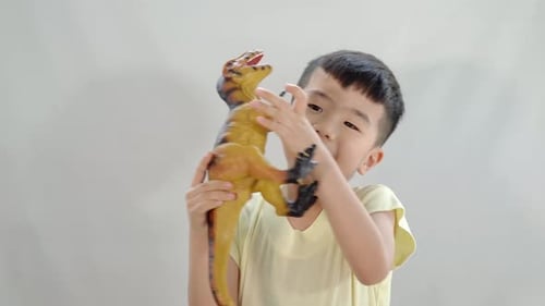 Happy Boy Playing with Dinosaur Toy Indoors