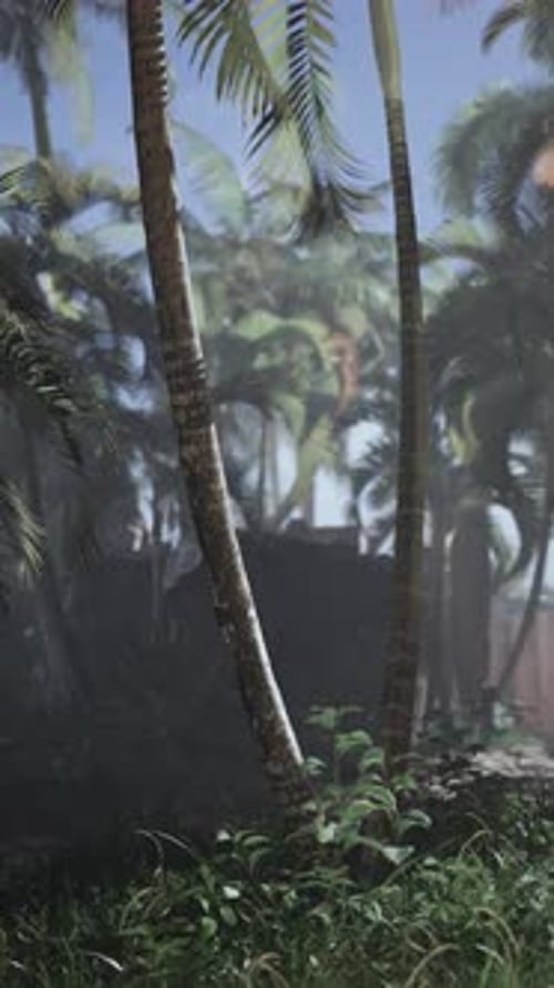 Selva densa con palmeras