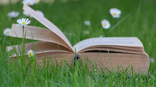 Close-up view of open paper old book laying in green grass of lawn