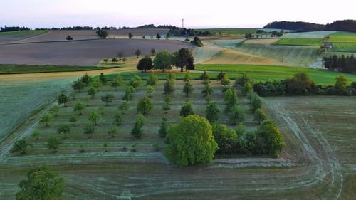 Landwirtschaftlicher Garten mit Obstbäumen zwischen Feldern und Wiesen auf dem Land