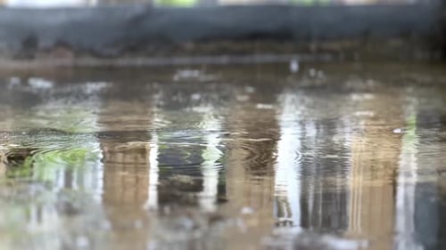 Puddles of water when it rains. Rainy Season.