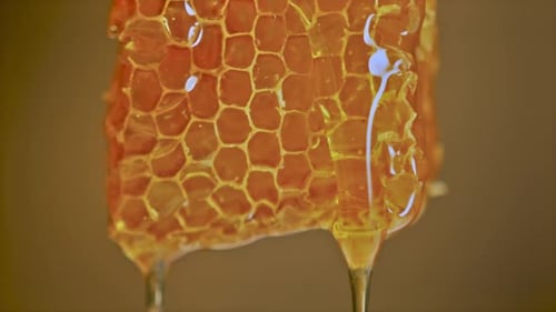 Golden Honey Dripping from Honeycomb Close Up