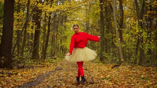 Dance in the Forest a Ballerina in an Autumn Park Where Graceful Movements