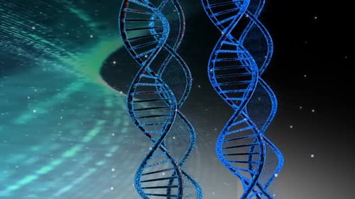 DNA Animation V12