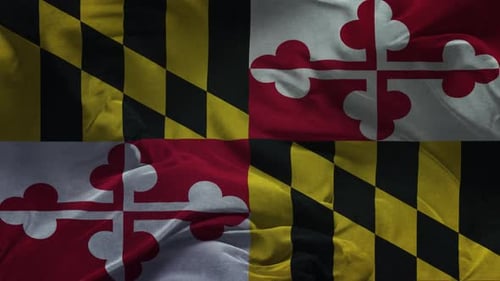 Realistic Waving Maryland State Flag Loop