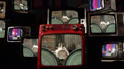 Tree Trunks on Conveyor in Timber Processing Plant and Retro TVs.