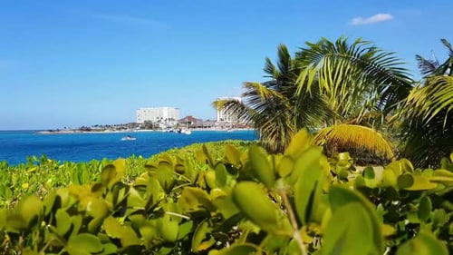 Beautiful Beach Resort with Ocean View