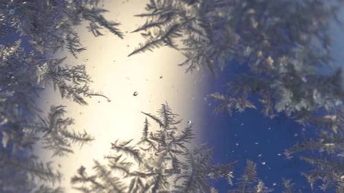 Window covered with fern frost. Macro, dolly left.