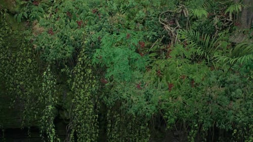 Lush Tropical Jungle Foliage Moving Background