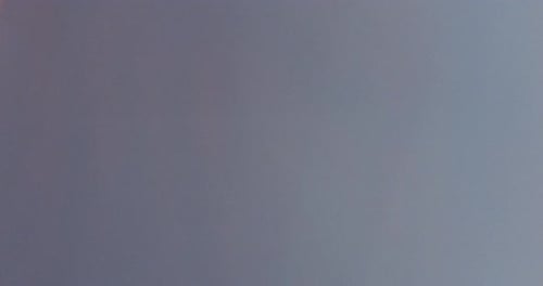 Modern Particle Digital Logo Reveal