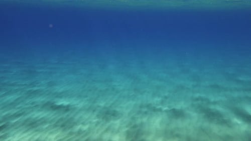 Escena submarina con luz solar sobre arena ondulada