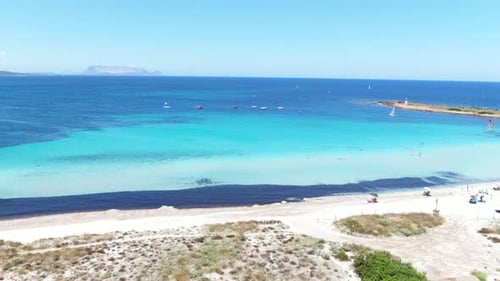 This video follows a forward motion through a forest and national park to a white sandy shoreline to