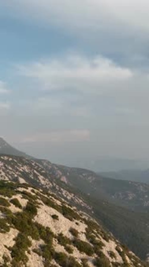 Vertical Video Breathtaking Forest Exploration Aerial View of Green Wilderness Cinematic Drone Video