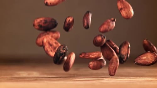 Cocoa Beans Fall on the Table Filmed on a Highspeed Camera at 1000 Fps