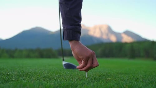 Golfer placing tee on green golf course in the rocky mountains of Banff and Kananaskis of Alberta, C