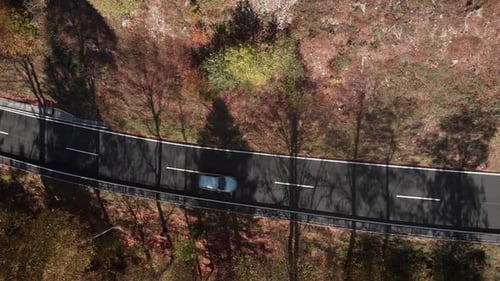 Cars driving on new asphalt road in autumn forest