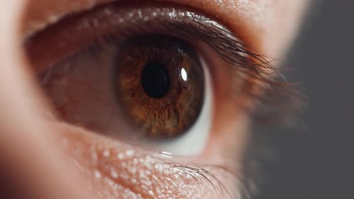 Blinkendes menschliches Auge mit schöner brauner Iris, klare Sicht, Nahaufnahme